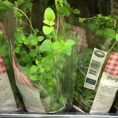 Печать на заказ Прозрачные пленки для упаковки цветов и растений